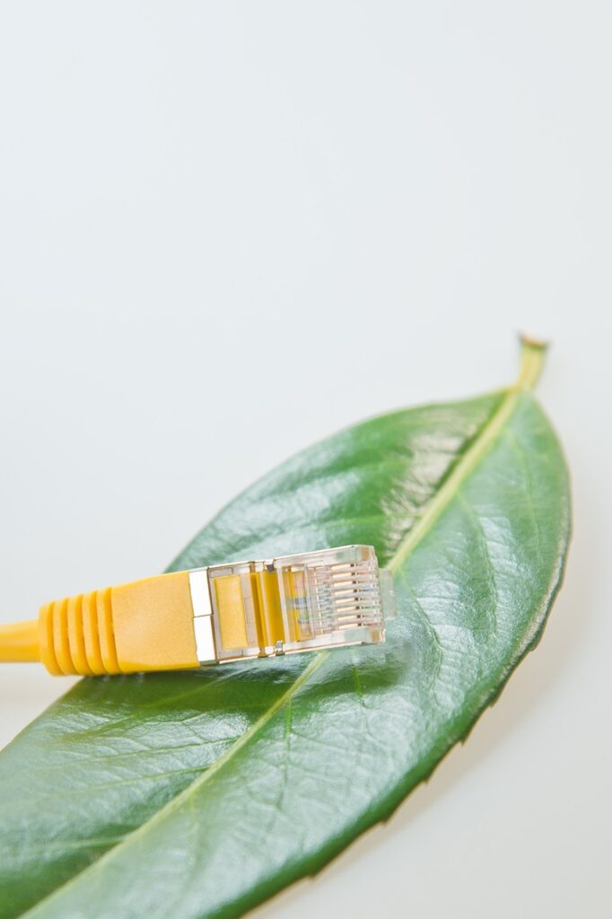 network cable, rj45, patch, patch cord, network, cable, management, data processing, rj-45, connection, plug, nature, lan, network plug, lan cable, rj, macro, yellow, hardware, computer, edp, leaf, eco